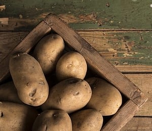 картофель можно хранить на балконе