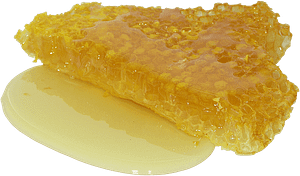 Хранить мед в сотах не сложно