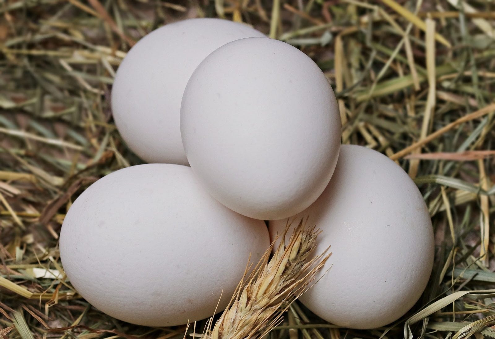 как хранить яйца свежими