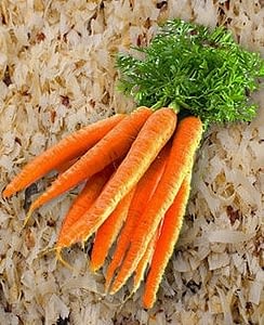 Так же можно хранить морковь в опилках