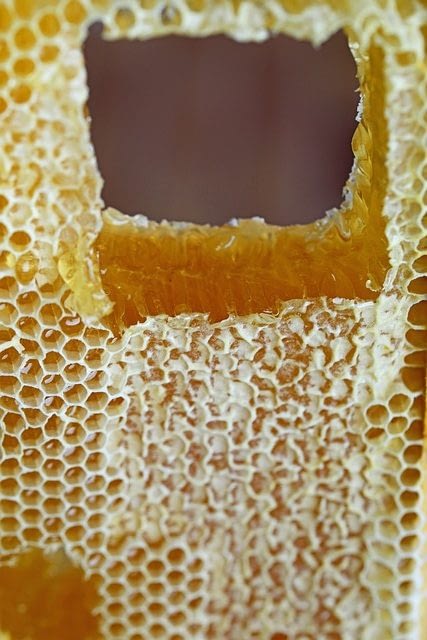 мед в сотах не любит перепад темпиратур