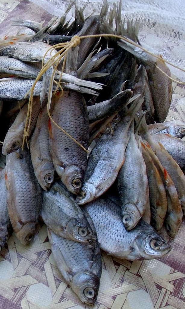 вяленую(сушеную)рыбу можно хранить разными способами