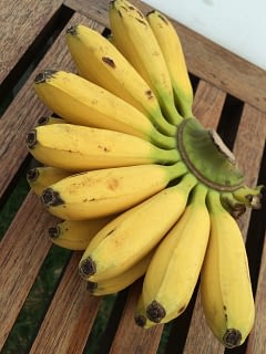 Бананы надо хранить аккуратно